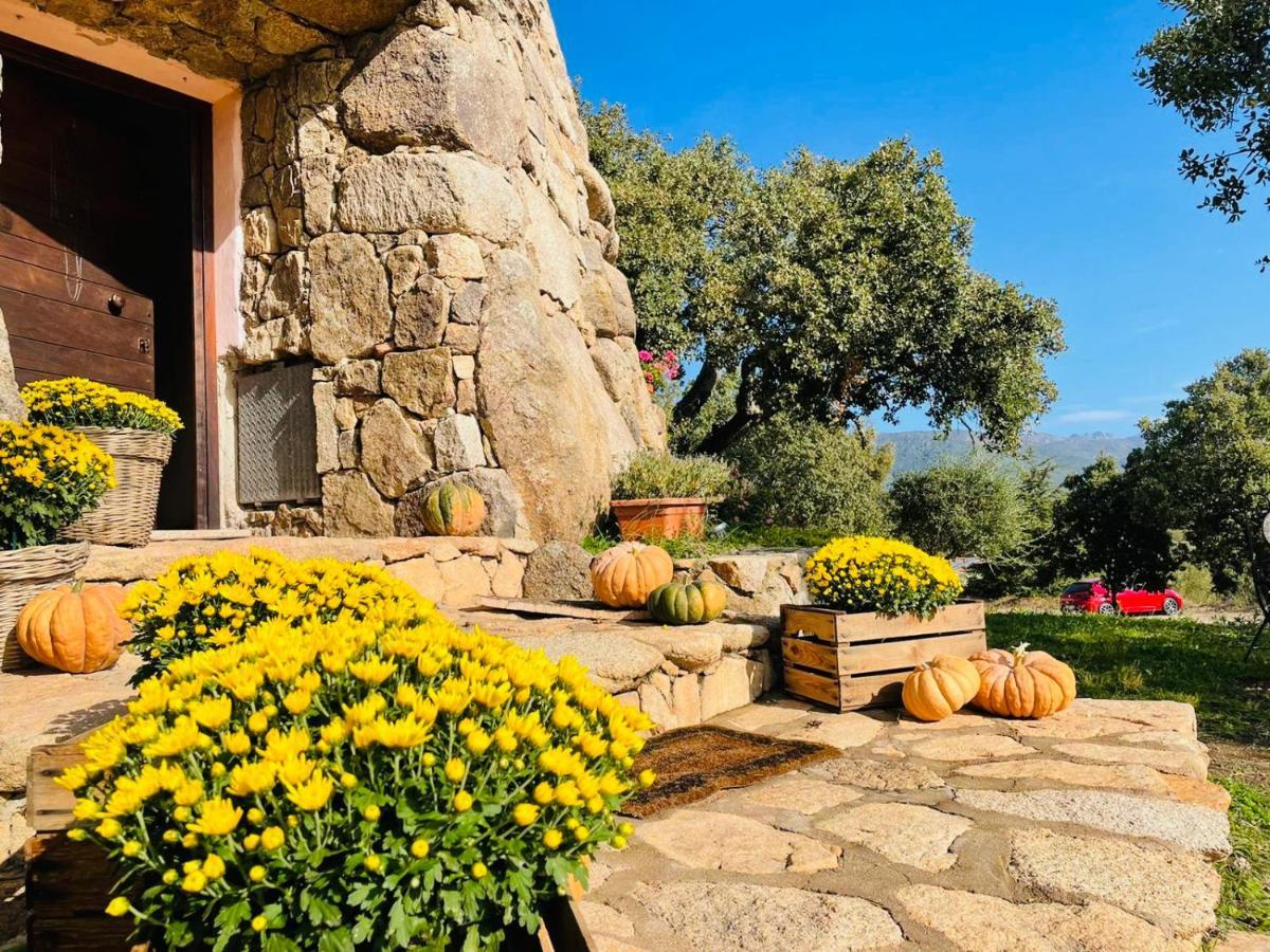 Il Nuraghe Del Lago Coghinas Oschiri Exterior photo