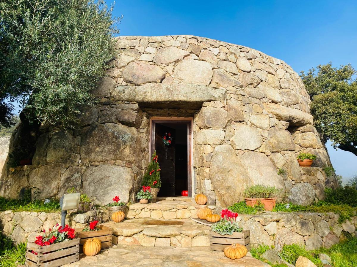 Il Nuraghe Del Lago Coghinas Oschiri Exterior photo